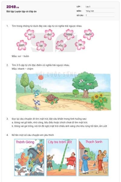 Bài tập Luyện tập có đáp án