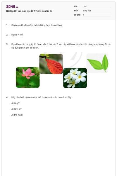 Bài tập Ôn tập cuối học kì 2 Tiết 4 có đáp án