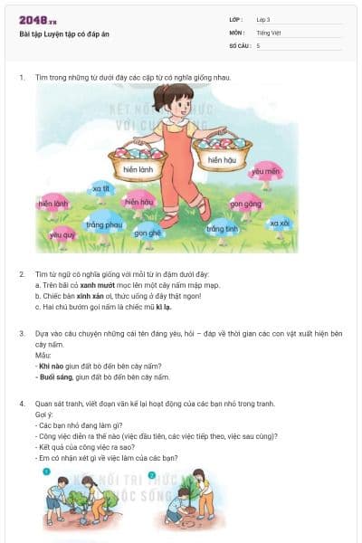 Bài tập Luyện tập có đáp án