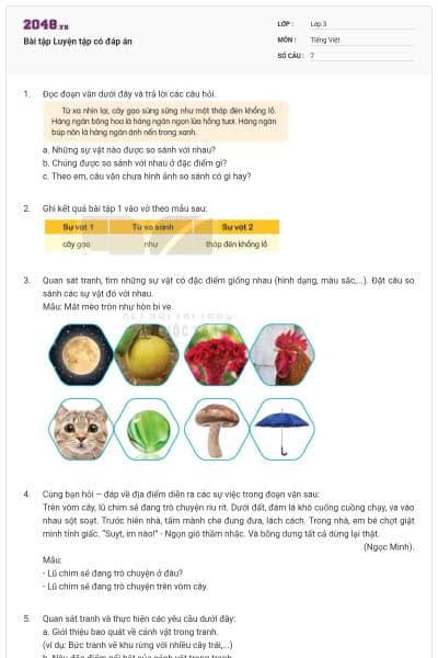 Bài tập Luyện tập có đáp án