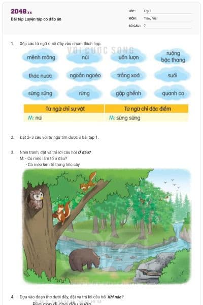 Bài tập Luyện tập có đáp án