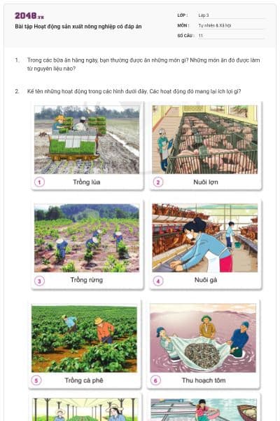 Bài tập Hoạt động sản xuất nông nghiệp có đáp án