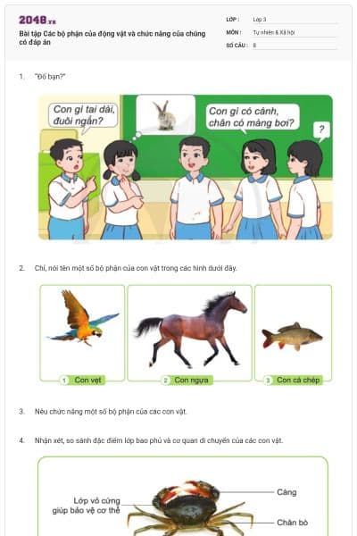 Bài tập Các bộ phận của động vật và chức năng của chúng có đáp án