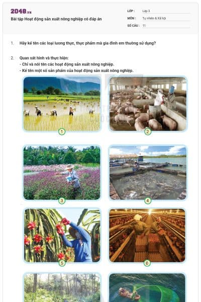 Bài tập Hoạt động sản xuất nông nghiệp có đáp án