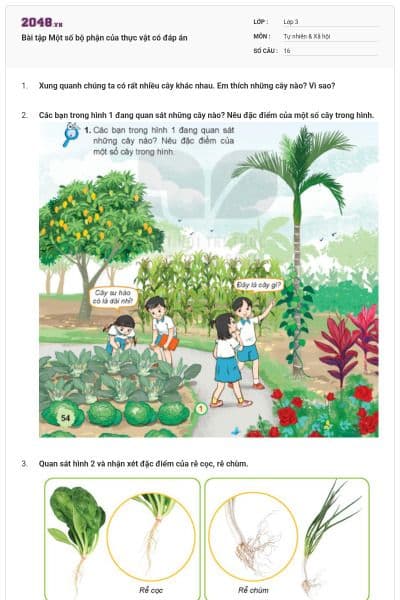 Bài tập Một số bộ phận của thực vật có đáp án