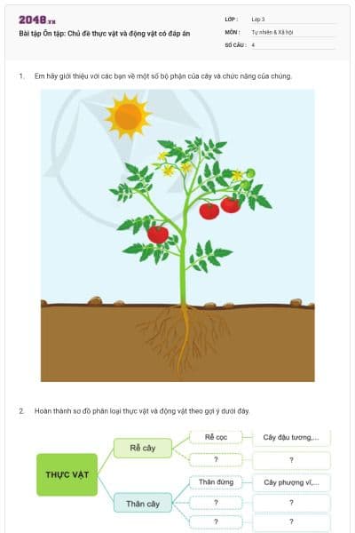 Bài tập Ôn tập: Chủ đề thực vật và động vật có đáp án