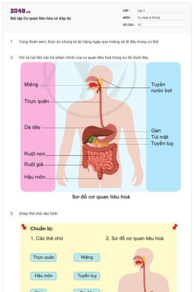Bài tập Cơ quan tiêu hóa có đáp án