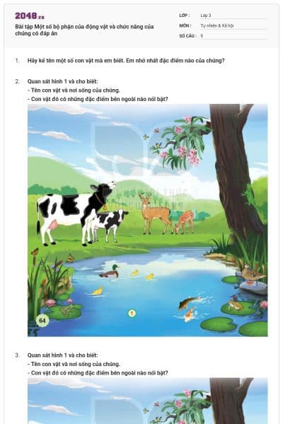 Bài tập Một số bộ phận của động vật và chức năng của chúng có đáp án