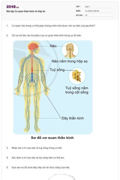 Bài tập Cơ quan thần kinh có đáp án