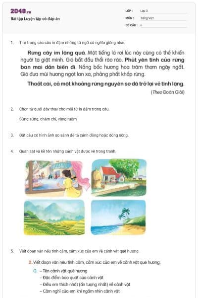 Bài tập Luyện tập có đáp án