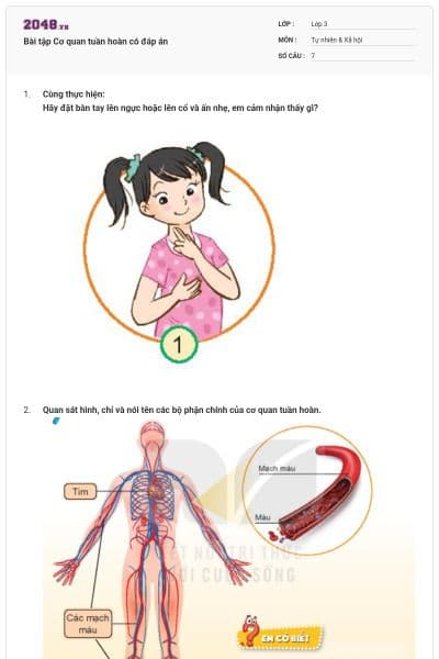 Bài tập Cơ quan tuần hoàn có đáp án