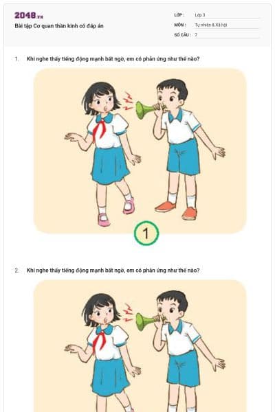 Bài tập Cơ quan thần kinh có đáp án