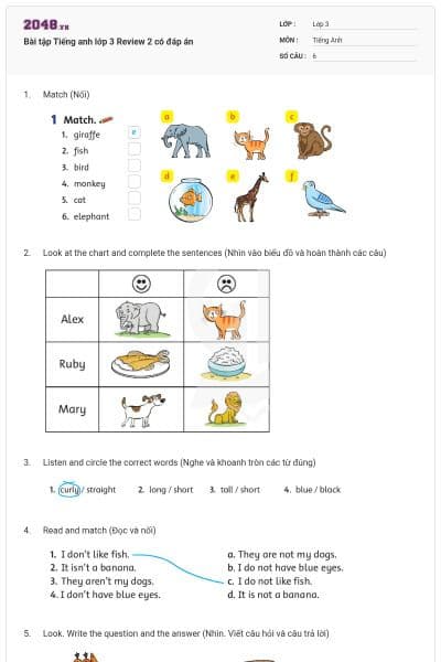 Bài tập Tiếng anh lớp 3 Review 2 có đáp án