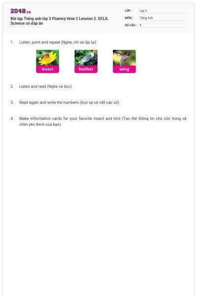 Bài tập Tiếng anh lớp 3 Fluency time 2 Lession 2. ECLIL Science có đáp án