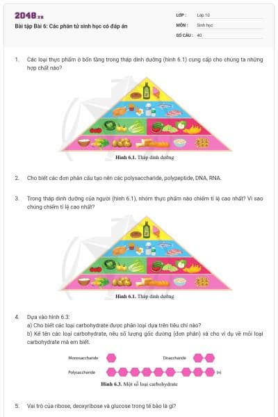 Bài tập Bài 6: Các phân tử sinh học có đáp án