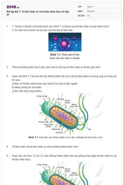 Bài tập Bài 7: Tế bào nhân sơ và tế bào nhân thực có đáp án