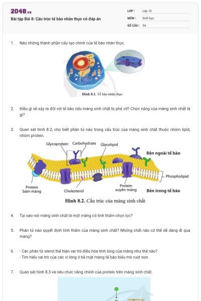 Bài tập Bài 8: Cấu trúc tế bào nhân thực có đáp án