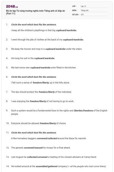 Bộ ôn tập Từ cùng trường nghĩa môn Tiếng anh có đáp án (Part 11)