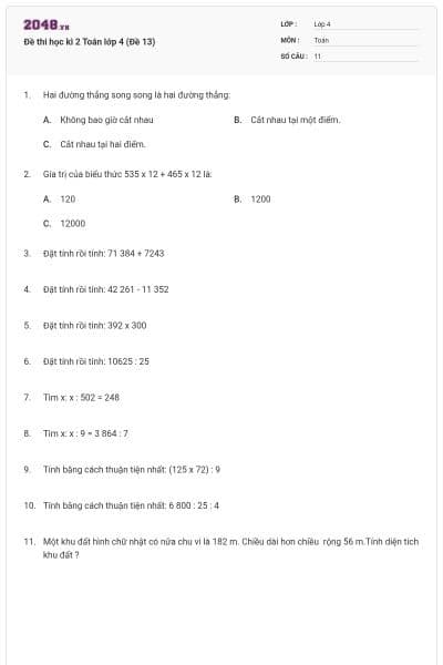 Đề thi học kì 2 Toán lớp 4 (Đề 13)