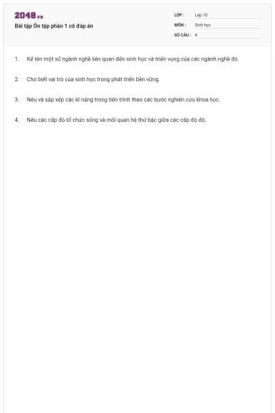 Bài tập Ôn tập phần 1 có đáp án