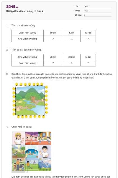 Bài tập Chu vi hình vuông có đáp án