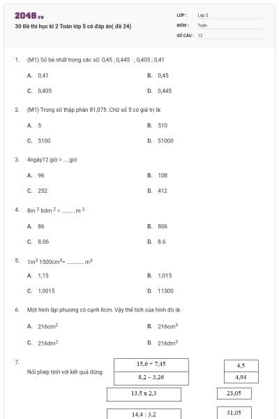 30 Đề thi học kì 2 Toán lớp 5 có đáp án( đề 24)
