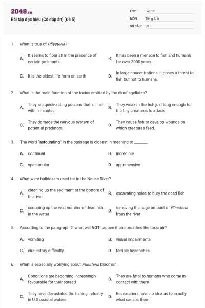 Bài tập đọc hiểu (Có đáp án) (Đề 5)