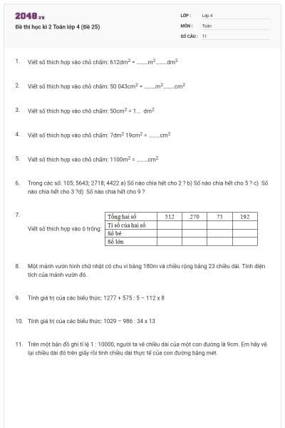 Đề thi học kì 2 Toán lớp 4 (Đề 25)