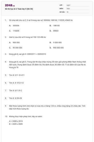 Đề thi học kì 2 Toán lớp 4 (Đề 30)
