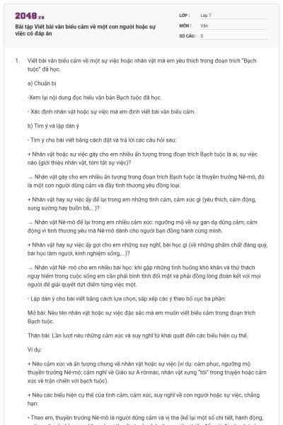 Bài tập Viết bài văn biểu cảm về một con người hoặc sự việc có đáp án