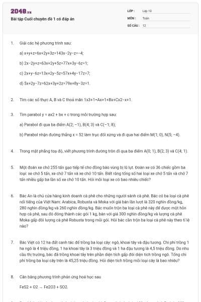 Bài tập Cuối chuyên đề 1 có đáp án