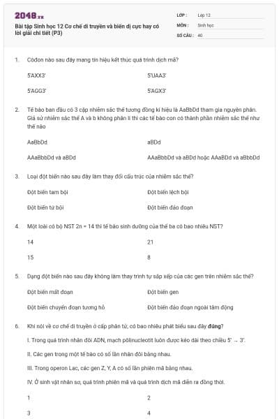 Bài tập Sinh học 12 Cơ chế di truyền và biến dị cực hay có lời giải chi tiết (P3)