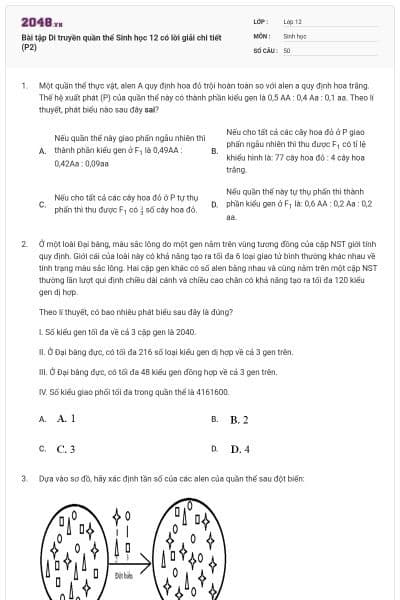 Bài tập Di truyền quần thể Sinh học 12 có lời giải chi tiết (P2)