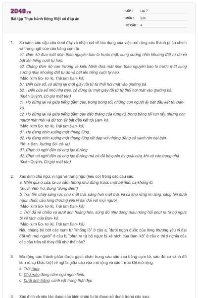 Bài tập Thực hành tiếng Việt có đáp án