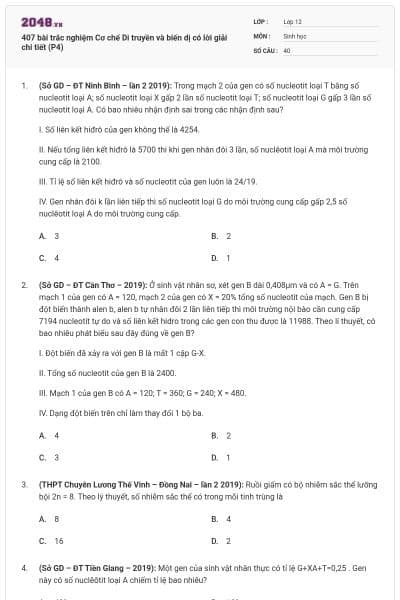 407 bài trắc nghiệm Cơ chế Di truyền và biến dị có lời giải chi tiết (P4)