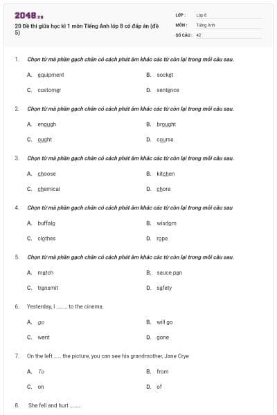 20 Đề thi giữa học kì 1 môn Tiếng Anh lớp 8 có đáp án (đề 5)