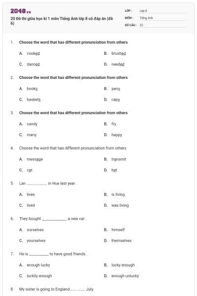 20 Đề thi giữa học kì 1 môn Tiếng Anh lớp 8 có đáp án (đề 6)