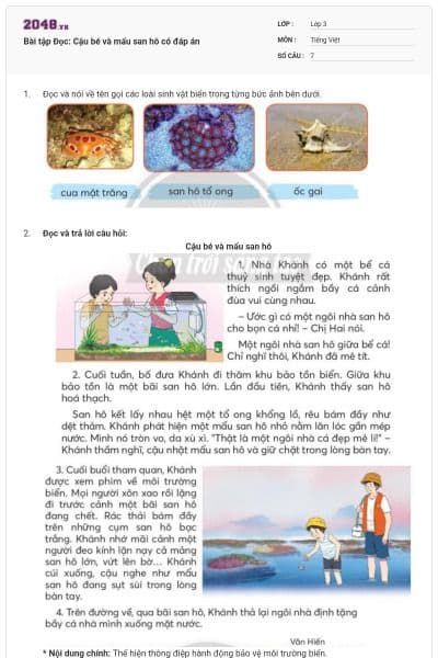 Bài tập Đọc: Cậu bé và mẩu san hô có đáp án