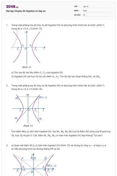 Bài tập Chuyên đề Hypebol có đáp án