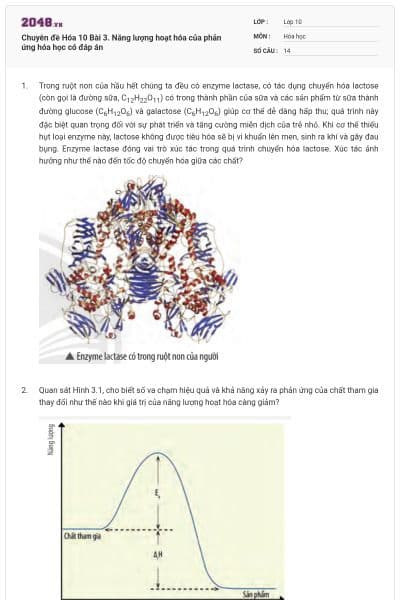 Chuyên đề Hóa 10 Bài 3. Năng lượng hoạt hóa của phản ứng hóa học có đáp án
