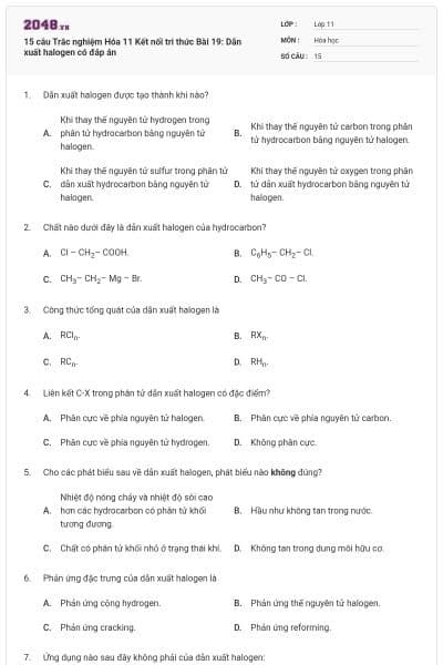 15 câu Trắc nghiệm Hóa 11 Kết nối tri thức Bài 19: Dẫn xuất halogen có đáp án
