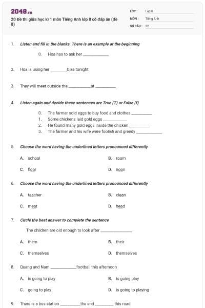 20 Đề thi giữa học kì 1 môn Tiếng Anh lớp 8 có đáp án (đề 8)