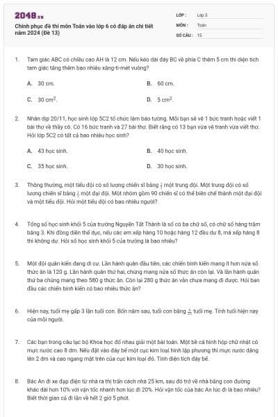 Chinh phục đề thi môn Toán vào lớp 6 có đáp án chi tiết năm 2024 (Đề 13)
