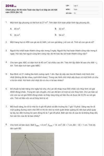 Chinh phục đề thi môn Toán vào lớp 6 có đáp án chi tiết năm 2024 (Đề 14)