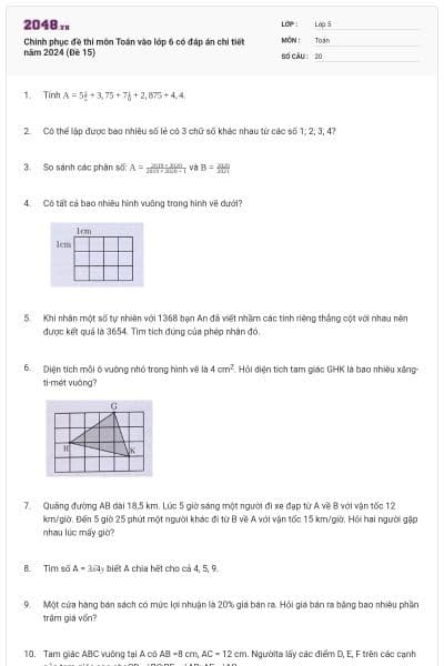 Chinh phục đề thi môn Toán vào lớp 6 có đáp án chi tiết năm 2024 (Đề 15)