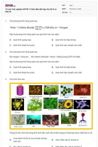15 câu Trắc nghiệm KHTN 7 Cánh diều Bài tập chủ đề 8 có đáp án