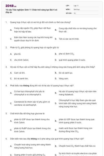16 câu Trắc nghiệm Sinh 11 Chân trời sáng tạo Bài 4 có đáp án