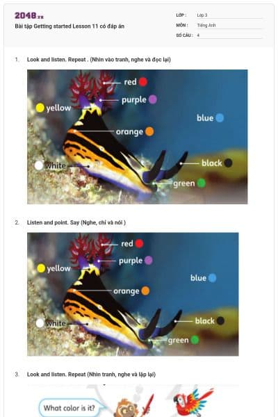 Bài tập Getting started Lesson 11 có đáp án