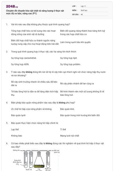 Chuyên đề chuyển hóa vật chất và năng lượng ở thực vật mức độ cơ bản, nâng cao (P1)