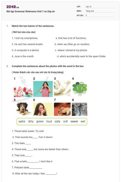 Bài tập Grammar Reference Unit 7 có đáp án